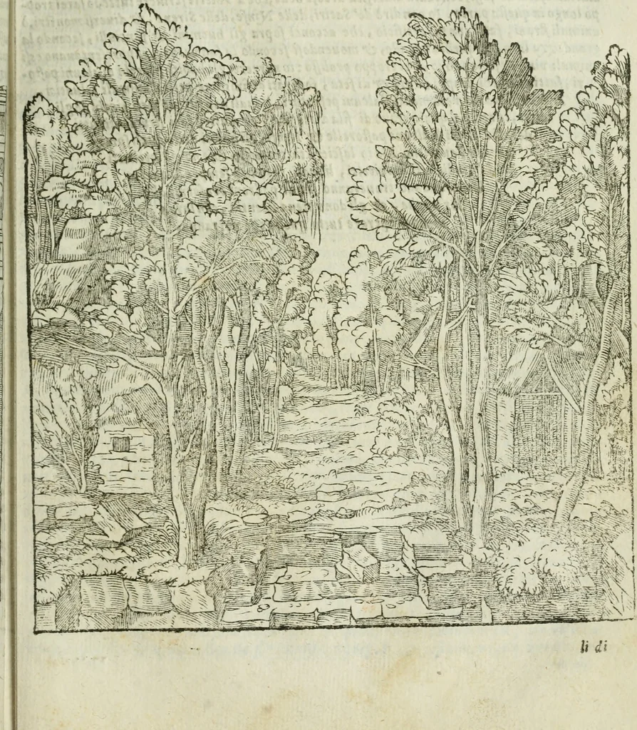 An illustration from Tutte l'opere d'archittetura, et prospetiua, 1619, leaf 140