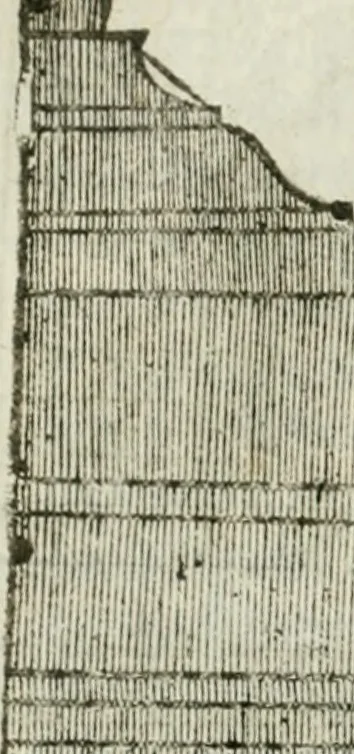 An illustration from Tutte l'opere d'archittetura, et prospetiua, 1619, leaf 215