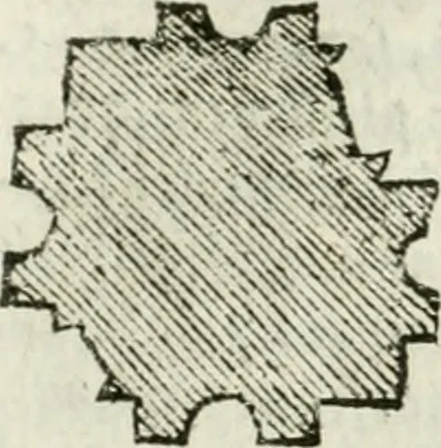 An illustration from Tutte l'opere d'archittetura, et prospetiua, 1619, leaf 479