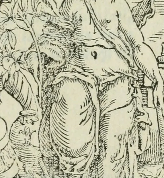 An illustration from Tutte l'opere d'archittetura, et prospetiua, 1619, leaf 50