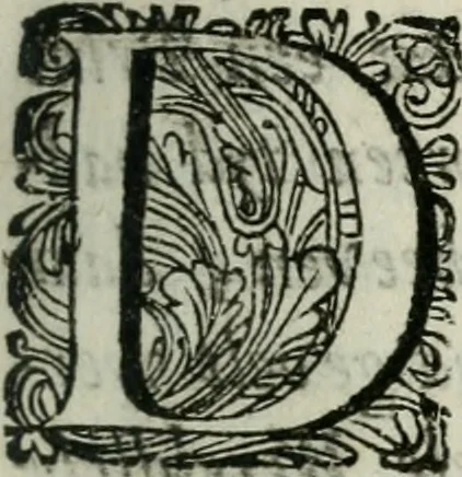 An illustration from 't Verwerd Europa; ofte, Politijke en historische beschryvinge der waare fundamenten en oorsaken van de oorlogen en revolutien in Europa, voornamentlijk in en omtrent de Nederlanden zedert den jaare 1664, gecauseert door de gepretendeerde universele monarchie der Franschen, verdeelt in dry deelen .., 1675, leaf 10