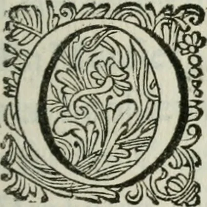 An illustration from 't Verwerd Europa; ofte, Politijke en historische beschryvinge der waare fundamenten en oorsaken van de oorlogen en revolutien in Europa, voornamentlijk in en omtrent de Nederlanden zedert den jaare 1664, gecauseert door de gepretendeerde universele monarchie der Franschen, verdeelt in dry deelen .., 1675, leaf 14