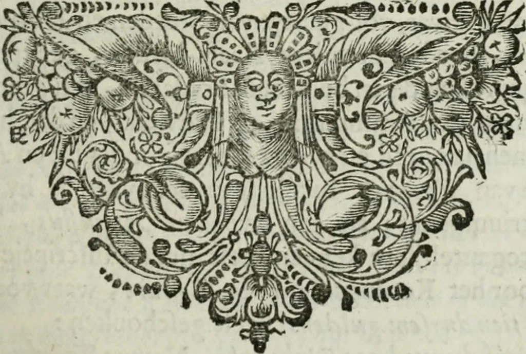 An illustration from 't Verwerd Europa; ofte, Politijke en historische beschryvinge der waare fundamenten en oorsaken van de oorlogen en revolutien in Europa, voornamentlijk in en omtrent de Nederlanden zedert den jaare 1664, gecauseert door de gepretendeerde universele monarchie der Franschen, verdeelt in dry deelen .., 1675, leaf 148