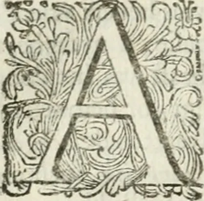 An illustration from 't Verwerd Europa; ofte, Politijke en historische beschryvinge der waare fundamenten en oorsaken van de oorlogen en revolutien in Europa, voornamentlijk in en omtrent de Nederlanden zedert den jaare 1664, gecauseert door de gepretendeerde universele monarchie der Franschen, verdeelt in dry deelen .., 1675, leaf 149