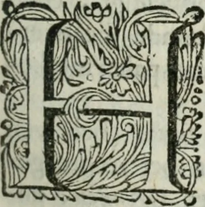 An illustration from 't Verwerd Europa; ofte, Politijke en historische beschryvinge der waare fundamenten en oorsaken van de oorlogen en revolutien in Europa, voornamentlijk in en omtrent de Nederlanden zedert den jaare 1664, gecauseert door de gepretendeerde universele monarchie der Franschen, verdeelt in dry deelen .., 1675, leaf 20