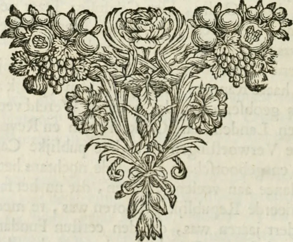 An illustration from 't Verwerd Europa; ofte, Politijke en historische beschryvinge der waare fundamenten en oorsaken van de oorlogen en revolutien in Europa, voornamentlijk in en omtrent de Nederlanden zedert den jaare 1664, gecauseert door de gepretendeerde universele monarchie der Franschen, verdeelt in dry deelen .., 1675, leaf 331
