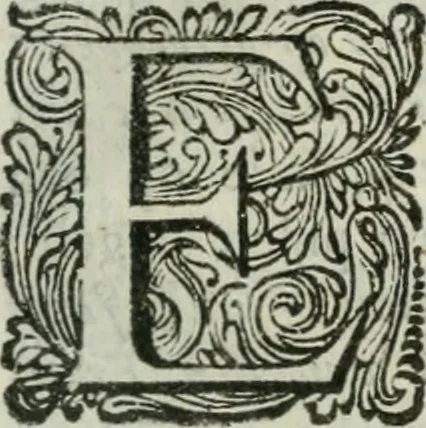 An illustration from 't Verwerd Europa; ofte, Politijke en historische beschryvinge der waare fundamenten en oorsaken van de oorlogen en revolutien in Europa, voornamentlijk in en omtrent de Nederlanden zedert den jaare 1664, gecauseert door de gepretendeerde universele monarchie der Franschen, verdeelt in dry deelen .., 1675, leaf 332