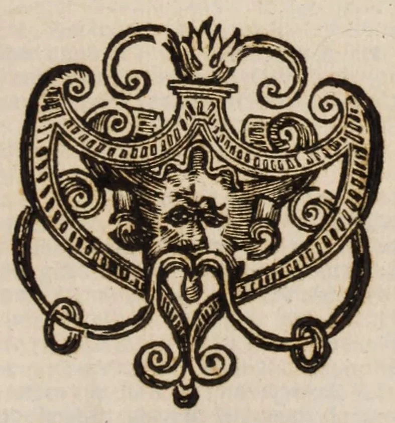 An illustration from Twee brieven, ghesonden tot waerschouwinge aende Steden van Hollandt ende West-Vrieslandt : nopende het maecken van de Trevis .., 1621, leaf 5