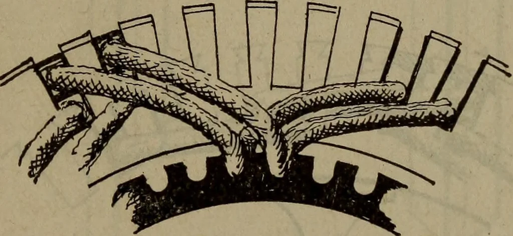 An illustration from Twentieth century hand-book for steam engineers and electricians with questions and answers; a practical non-technical treatise .., 1913, leaf 1244