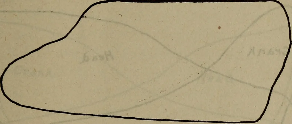 An illustration from Twentieth century hand-book for steam engineers and electricians with questions and answers; a practical non-technical treatise .., 1913, leaf 528
