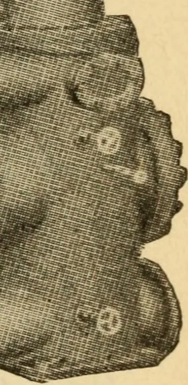 An illustration from Twentieth century handbook for steam engineers and electricians, with questions and answers; a practical nontechnical treatise .., 1916, leaf 170