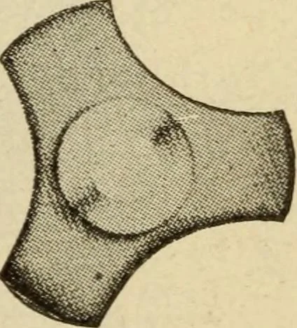 An illustration from Twentieth century handbook for steam engineers and electricians, with questions and answers; a practical nontechnical treatise .., 1916, leaf 20