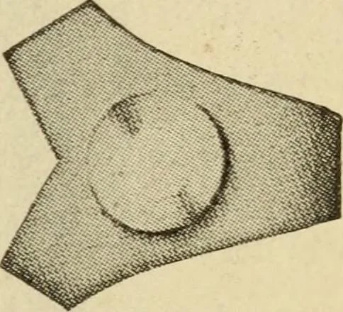 An illustration from Twentieth century handbook for steam engineers and electricians, with questions and answers; a practical nontechnical treatise .., 1916, leaf 20