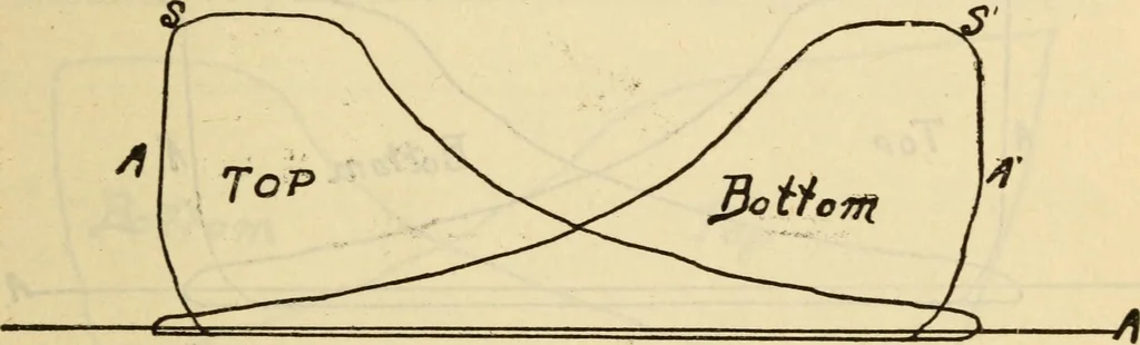An illustration from Twentieth century handbook for steam engineers and electricians, with questions and answers; a practical nontechnical treatise .., 1916, leaf 512