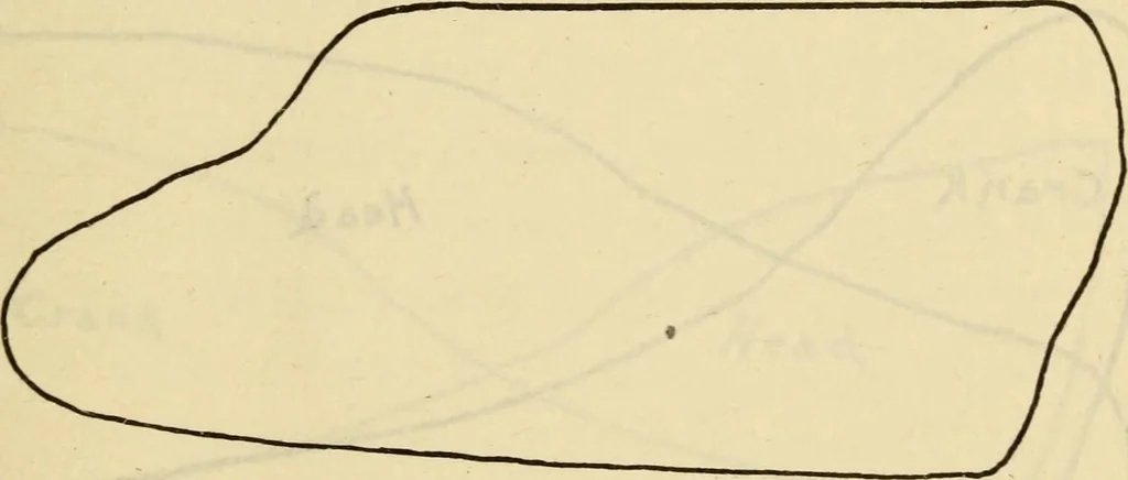 An illustration from Twentieth century handbook for steam engineers and electricians, with questions and answers; a practical nontechnical treatise .., 1916, leaf 528