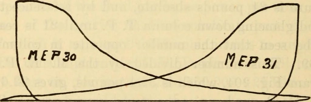 An illustration from Twentieth century handbook for steam engineers and electricians, with questions and answers; a practical nontechnical treatise .., 1916, leaf 533