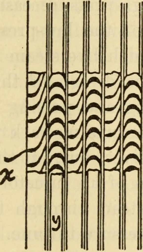 An illustration from Twentieth century handbook for steam engineers and electricians, with questions and answers; a practical nontechnical treatise .., 1916, leaf 686