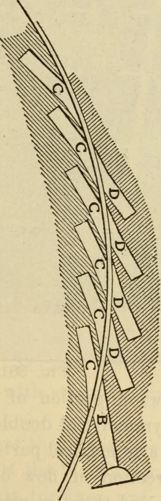 An illustration from Twentieth century handbook for steam engineers and electricians, with questions and answers; a practical nontechnical treatise .., 1916, leaf 708
