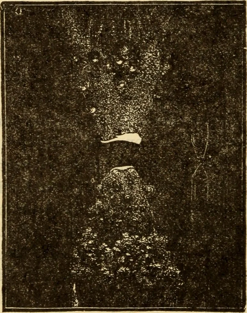 An illustration from Twentieth century handbook for steam engineers and electricians, with questions and answers; a practical nontechnical treatise on the care and management of steam engines, boilers and electric machinery, 1922, leaf 1441
