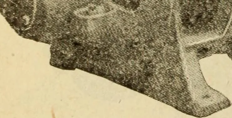 An illustration from Twentieth century handbook for steam engineers and electricians, with questions and answers; a practical nontechnical treatise on the care and management of steam engines, boilers and electric machinery, 1922, leaf 263