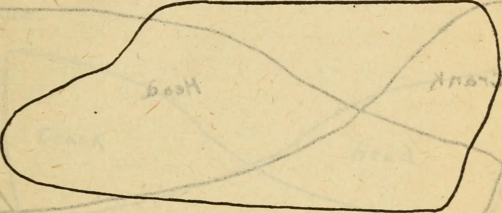 An illustration from Twentieth century handbook for steam engineers and electricians, with questions and answers; a practical nontechnical treatise on the care and management of steam engines, boilers and electric machinery, 1922, leaf 528