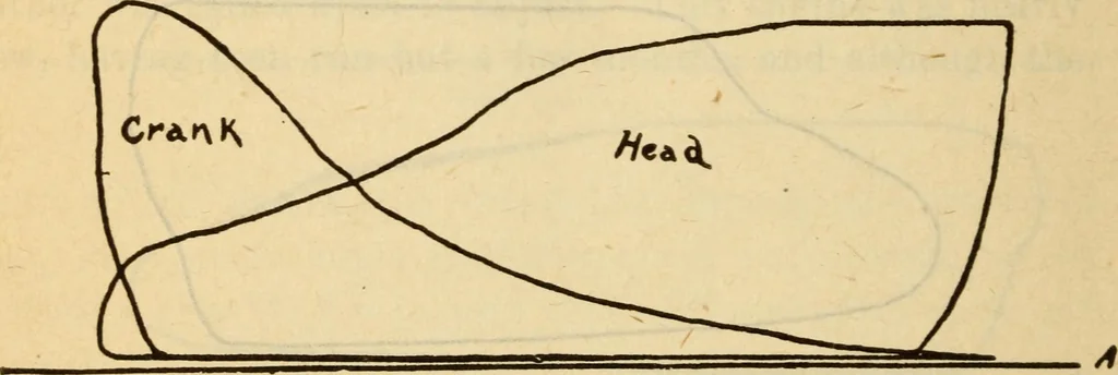 An illustration from Twentieth century handbook for steam engineers and electricians, with questions and answers; a practical nontechnical treatise on the care and management of steam engines, boilers and electric machinery, 1922, leaf 529