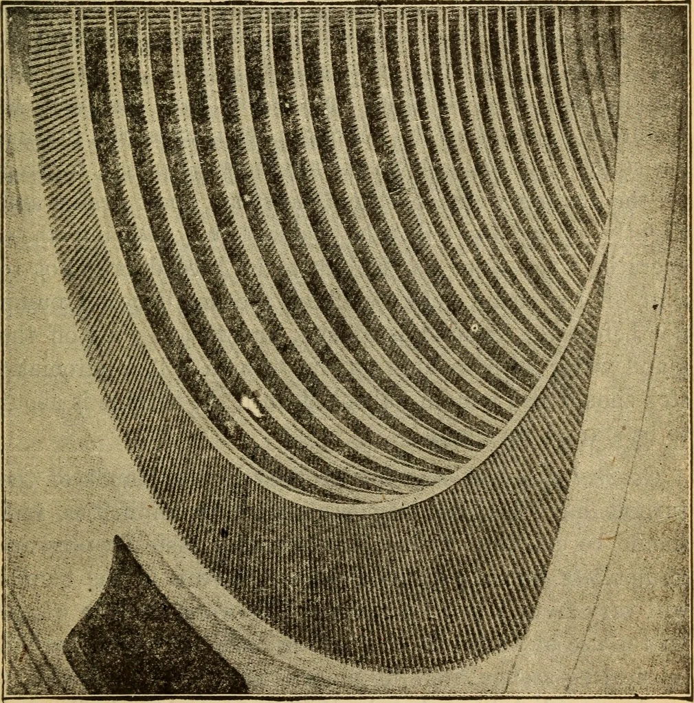 An illustration from Twentieth century handbook for steam engineers and electricians, with questions and answers; a practical nontechnical treatise on the care and management of steam engines, boilers and electric machinery, 1922, leaf 674
