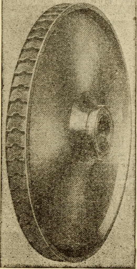An illustration from Twentieth century handbook for steam engineers and electricians, with questions and answers; a practical nontechnical treatise on the care and management of steam engines, boilers and electric machinery, 1922, leaf 706