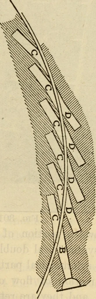 An illustration from Twentieth century handbook for steam engineers and electricians, with questions and answers; a practical nontechnical treatise on the care and management of steam engines, boilers and electric machinery, 1922, leaf 708