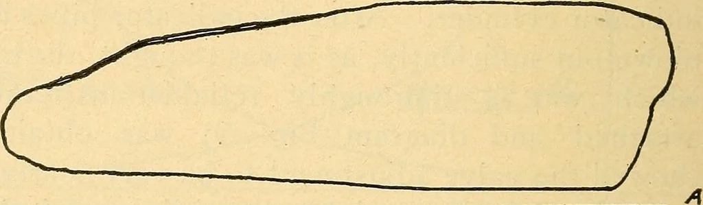 An illustration from Twentieth century hand-book for steam engineers and electricians, with questions and answers .., 1905, leaf 237