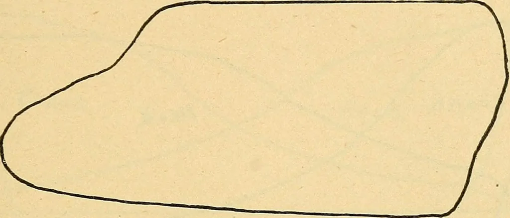 An illustration from Twentieth century hand-book for steam engineers and electricians, with questions and answers .., 1905, leaf 238