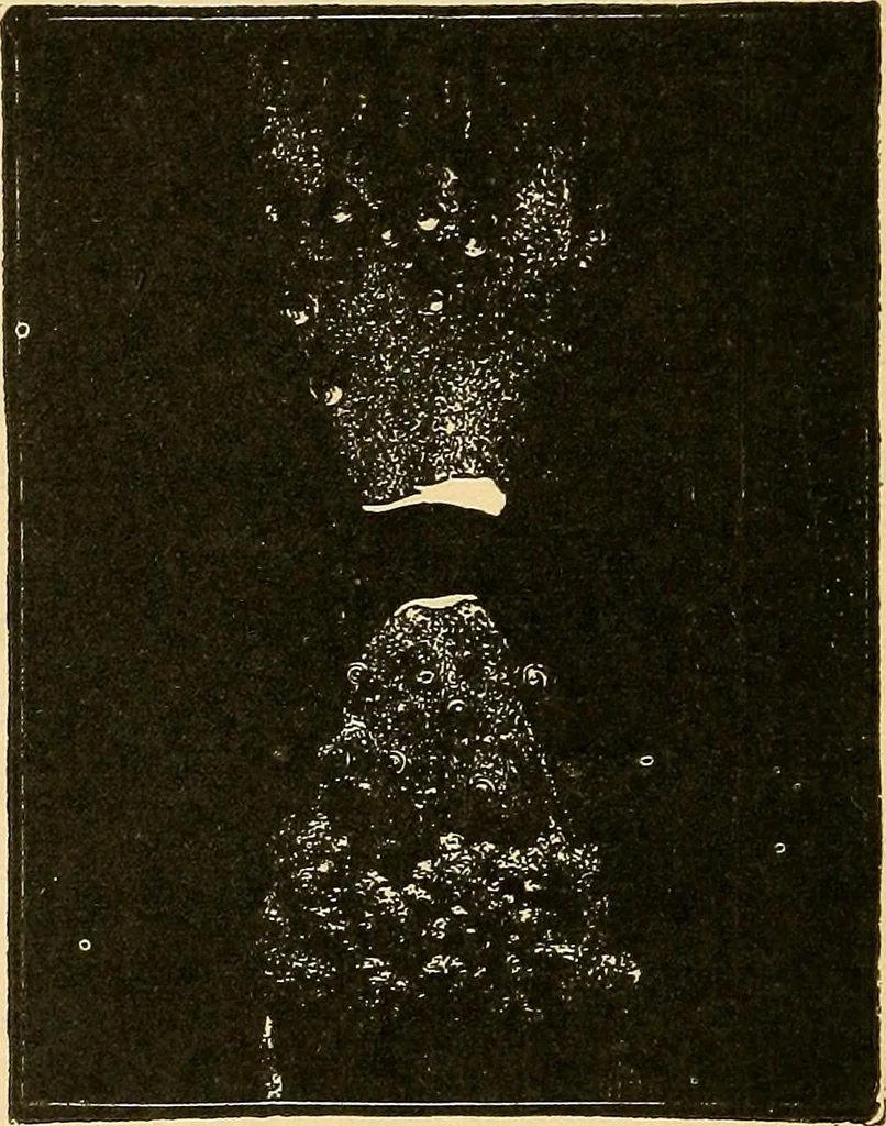 An illustration from Twentieth century hand-book for steam engineers and electricians, with questions and answers .., 1905, leaf 573