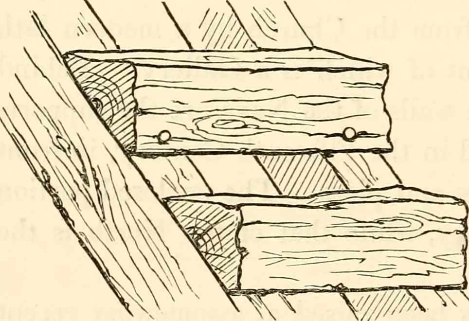 An illustration from Twenty-two of the churches of Essex architecturally described and illustrated, 1856, leaf 109