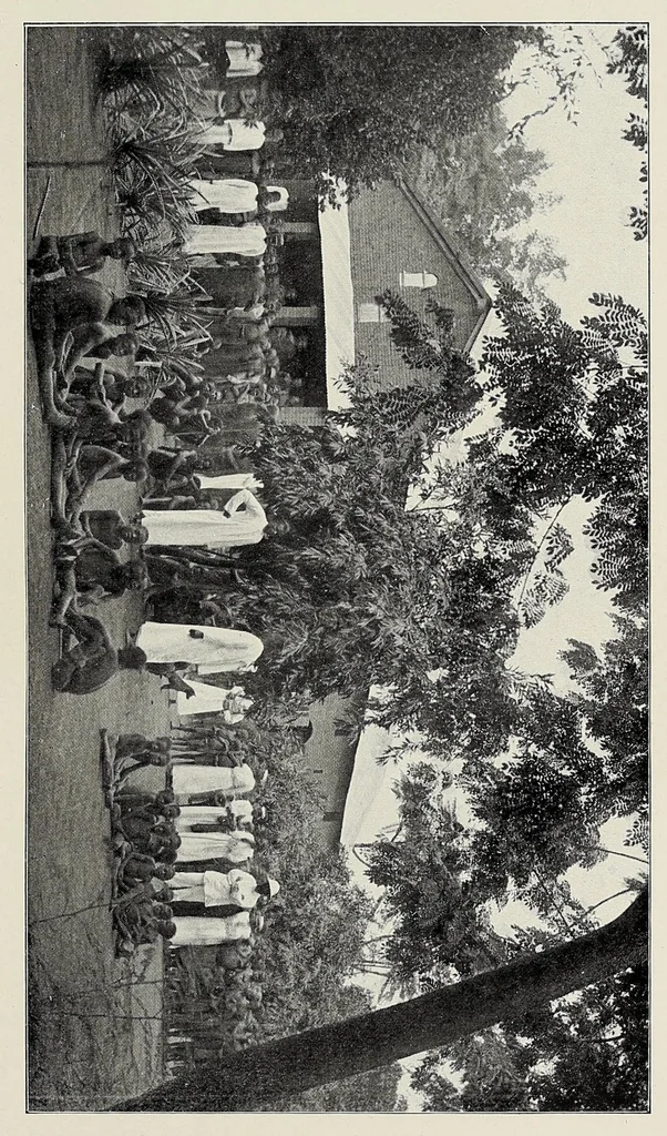 An illustration from Twenty years of pioneer missions in Nyasaland : a history of Moravian missions in German East Africa, 1912, leaf 173