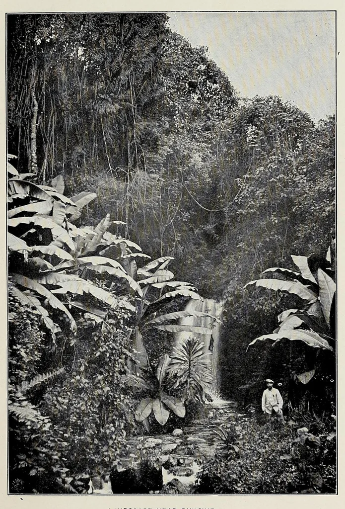 An illustration from Twenty years of pioneer missions in Nyasaland : a history of Moravian missions in German East Africa, 1912, leaf 27