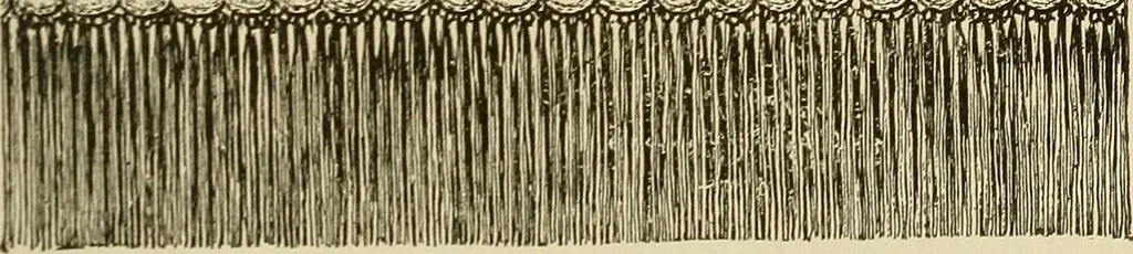 An illustration from Twine crochet work, 1883, leaf 28