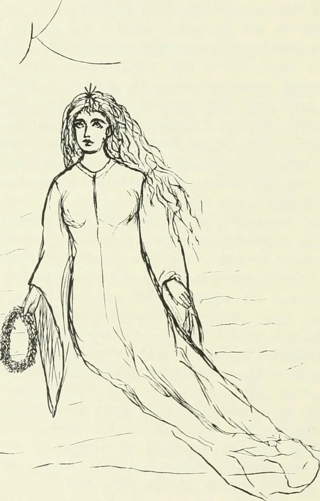 An illustration from 'Twixt two worlds : a narrative of the life and work of William Eglinton, 1886, leaf 123