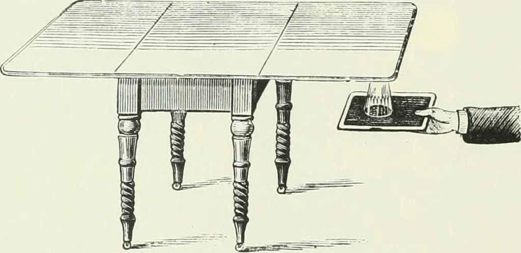 An illustration from 'Twixt two worlds : a narrative of the life and work of William Eglinton, 1886, leaf 131