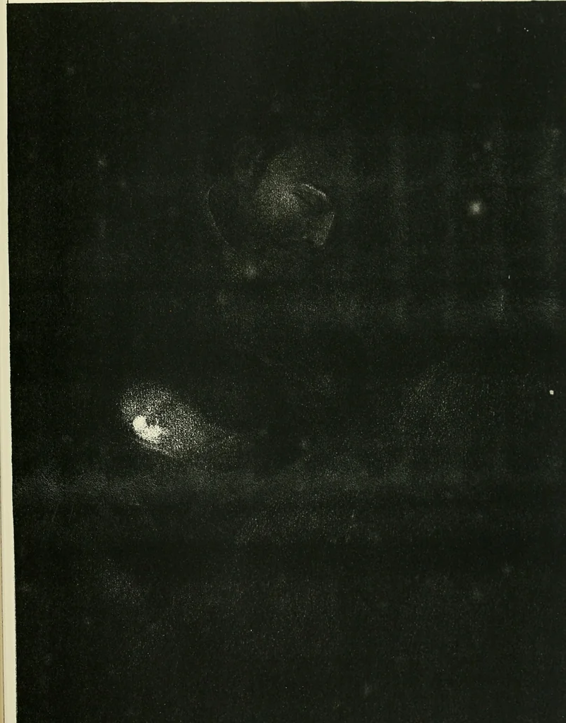 An illustration from 'Twixt two worlds : a narrative of the life and work of William Eglinton, 1886, leaf 170