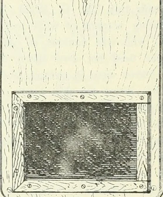 An illustration from 'Twixt two worlds : a narrative of the life and work of William Eglinton, 1886, leaf 179