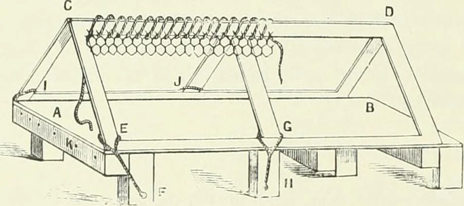 An illustration from 'Twixt two worlds : a narrative of the life and work of William Eglinton, 1886, leaf 55