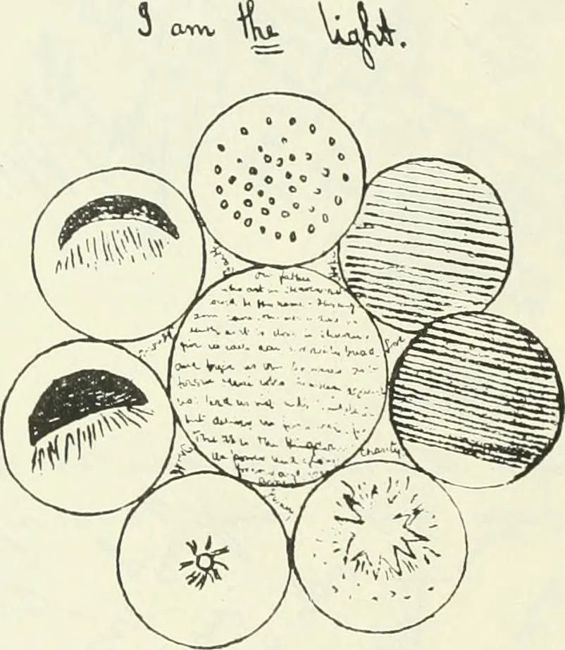 An illustration from 'Twixt two worlds : a narrative of the life and work of William Eglinton, 1886, leaf 95