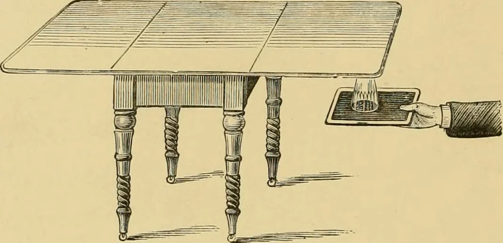 An illustration from 'Twixt two worlds : a narrative of the life and work of William Eglinton, 1886, leaf 125