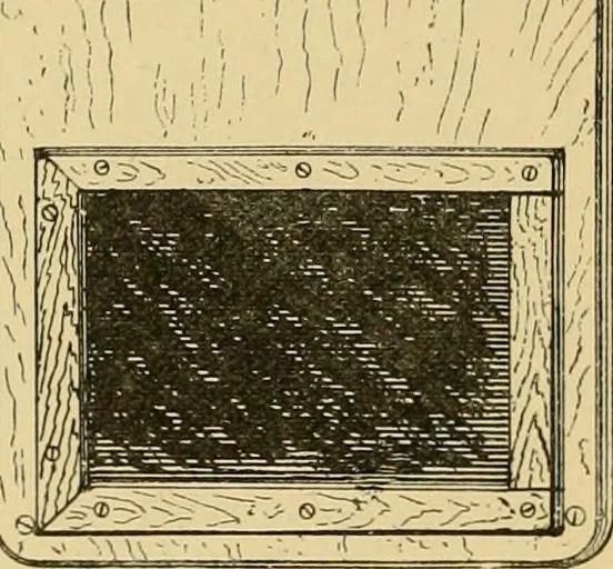An illustration from 'Twixt two worlds : a narrative of the life and work of William Eglinton, 1886, leaf 173