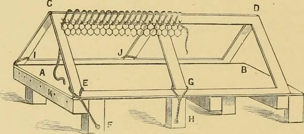 An illustration from 'Twixt two worlds : a narrative of the life and work of William Eglinton, 1886, leaf 49