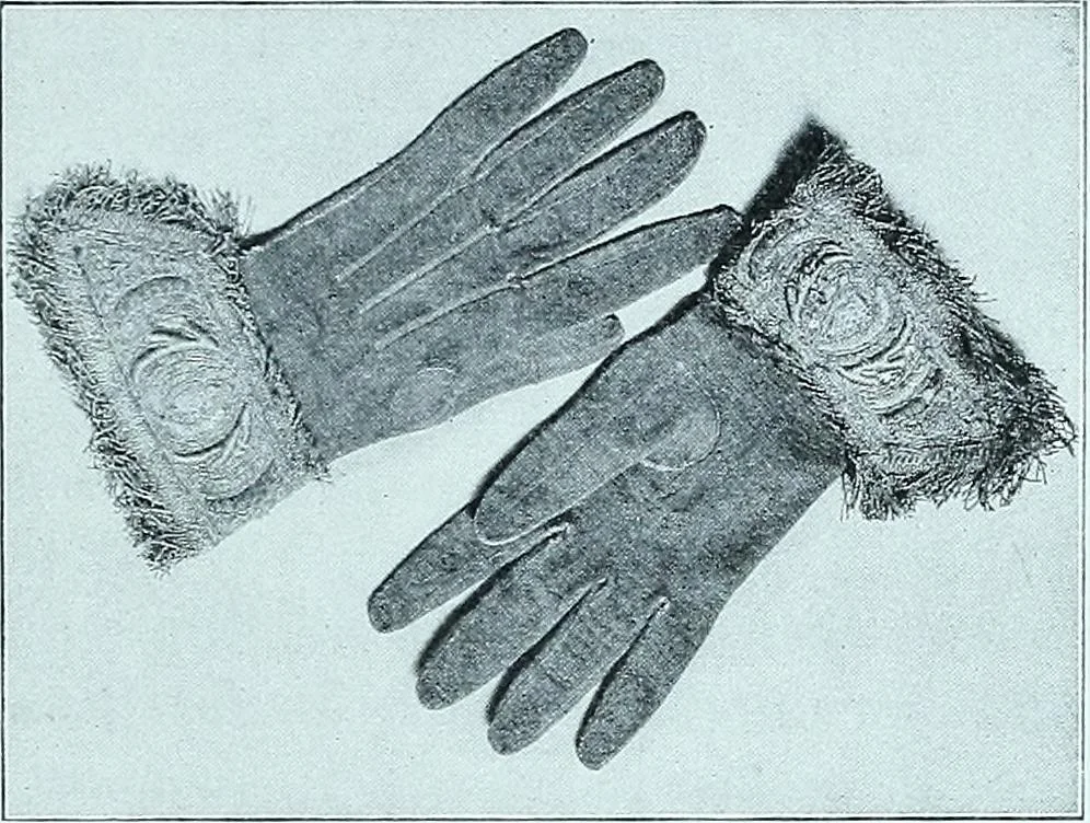 An illustration from Two centuries of costume in America, MDCXX-MDCCCXX, 1903, leaf 202