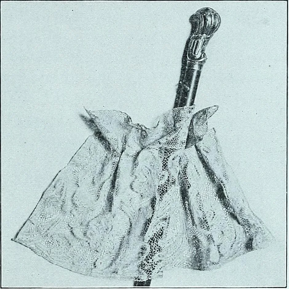 An illustration from Two centuries of costume in America, MDCXX-MDCCCXX, 1903, leaf 274