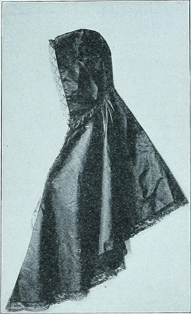 An illustration from Two centuries of costume in America, MDCXX-MDCCCXX, 1903, leaf 318