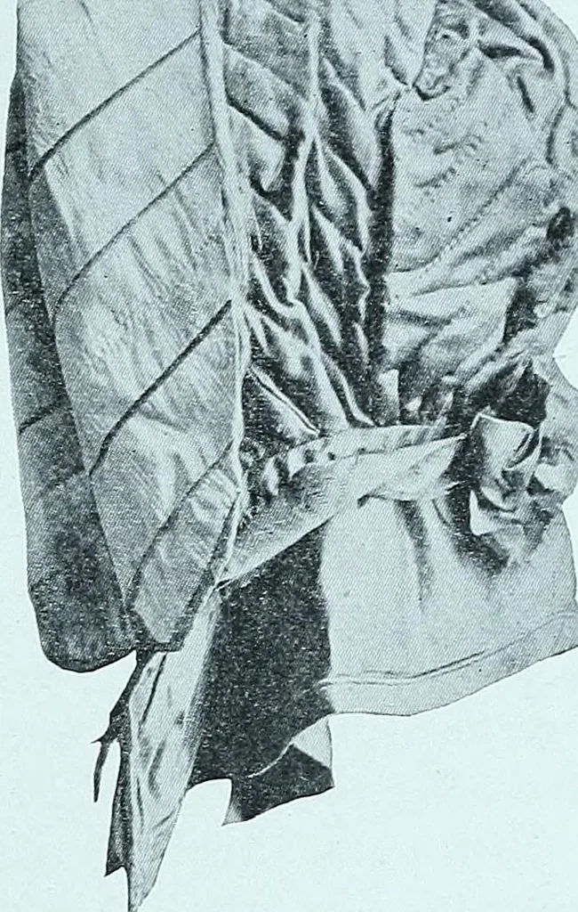 An illustration from Two centuries of costume in America, MDCXX-MDCCCXX, 1903, leaf 322