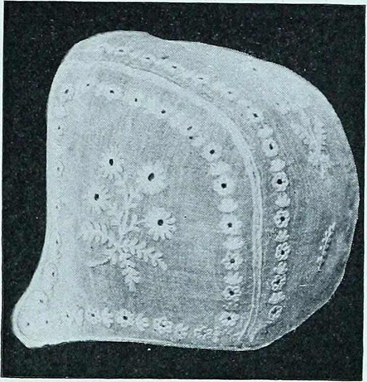 An illustration from Two centuries of costume in America, MDCXX-MDCCCXX, 1903, leaf 358